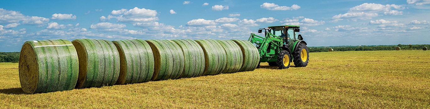 hay & forage