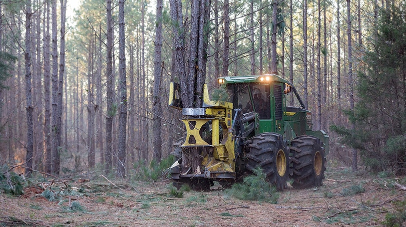 FD45 Felling Head in the field