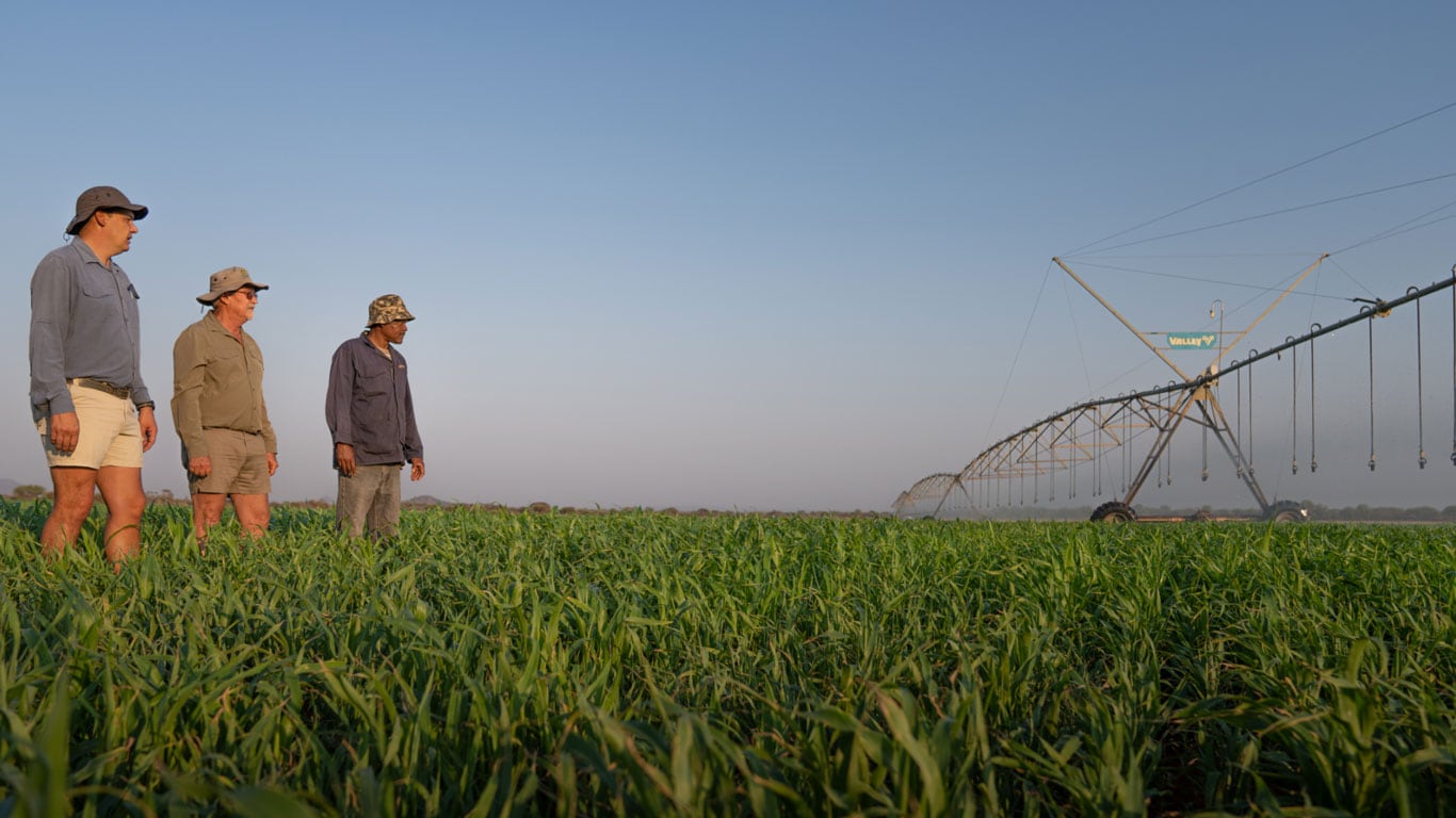 Three people stand in a green crop field looking toward a large center‑pivot irrigation system.