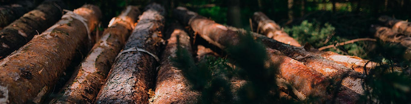 Logs in a pile