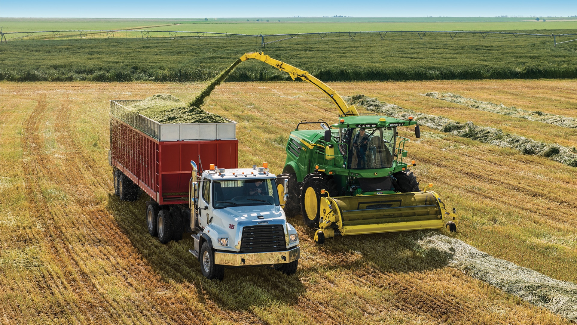 Self-Propelled Forage Harvesters field shot