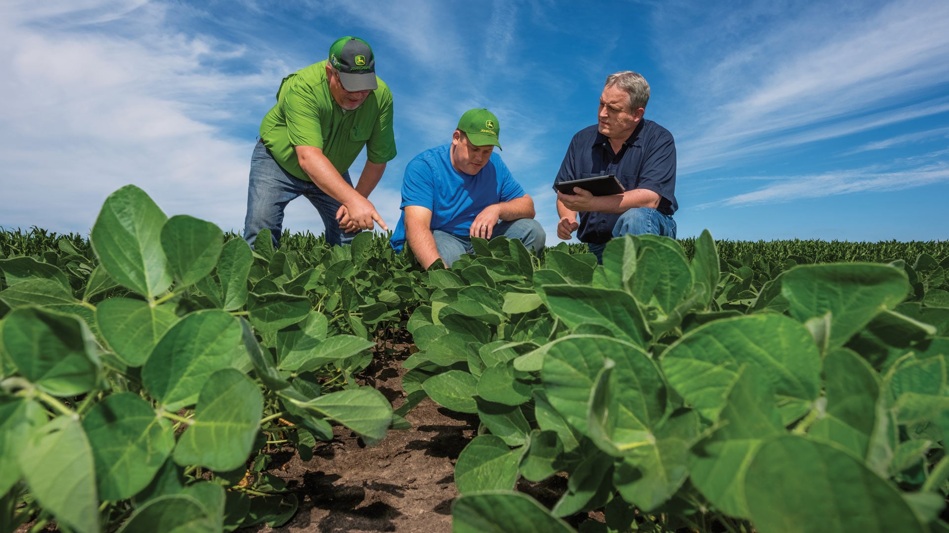 Field and Water Management People checking crops Image